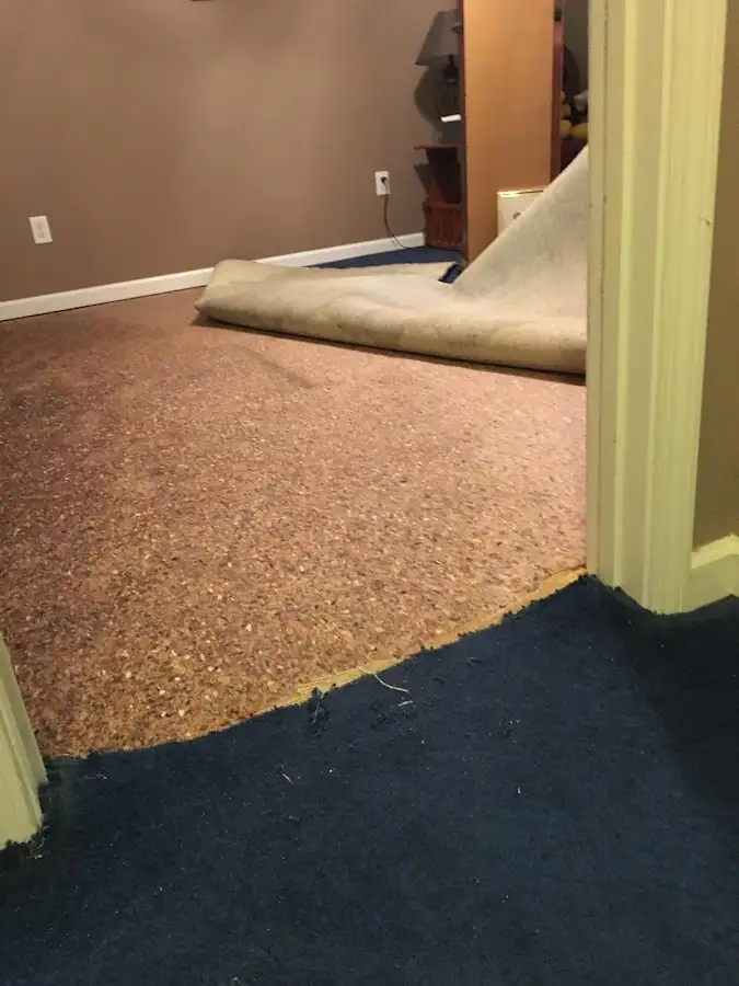 Carpet pad removal revealing water damage during Water Mitigation Services in Chippewa Falls