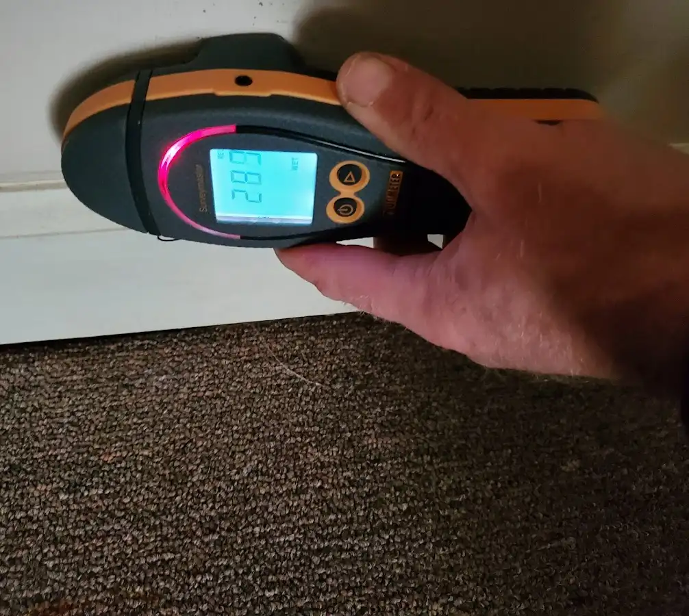 Moisture detection at baseboard during Sewage Cleanup & Sanitation in Chippewa Falls