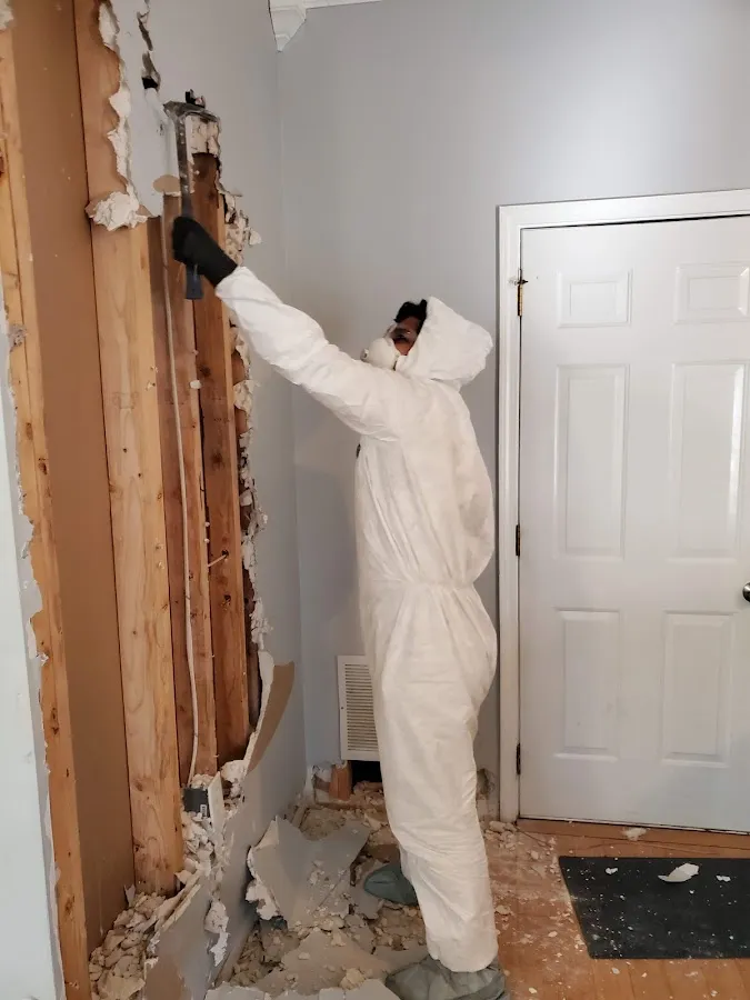 Water Damage Restoration services in Chippewa Falls, WI